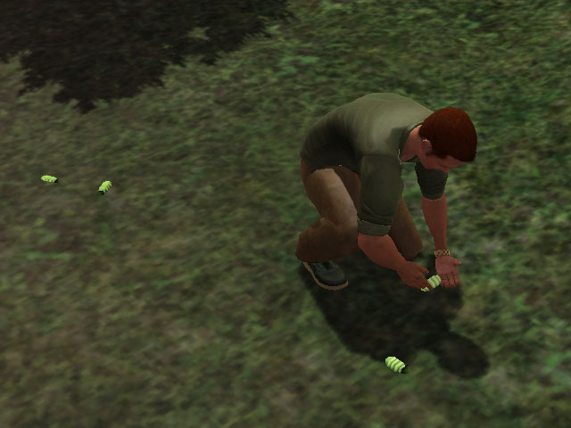Sims 3: Жуков и бабочек для коллекций не так-то просто найти. 