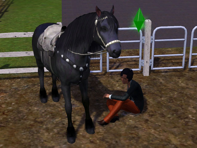 Sims 3: Неопытные наездники часто оказываются на земле.