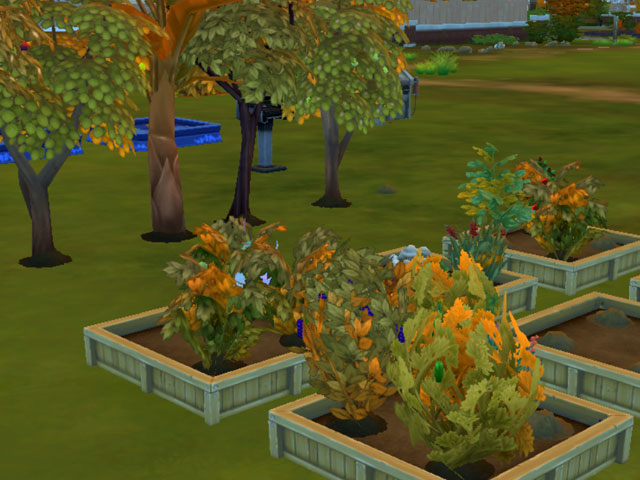 Sims 4: Осенью растения в саду меняют цвет.